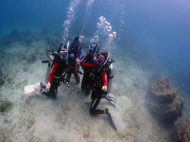 你的百潛是不是白潛了？