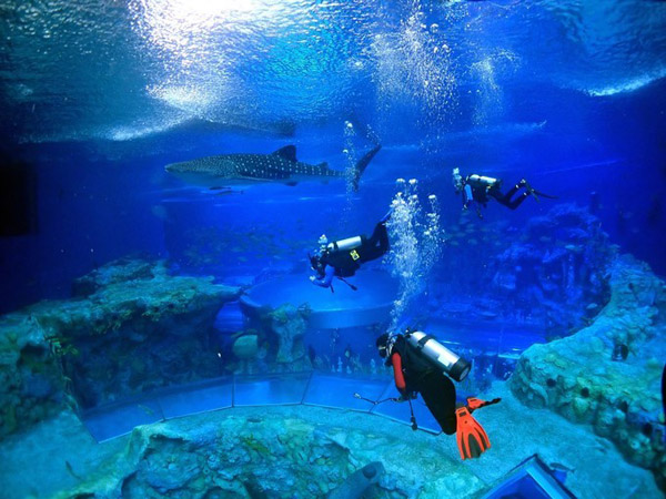 潛在水里，學(xué)做一條靜靜的魚(yú)