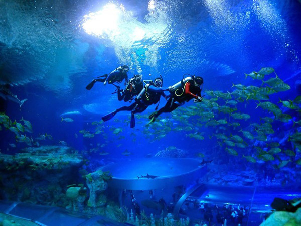 潛在水里，學(xué)做一條靜靜的魚(yú)