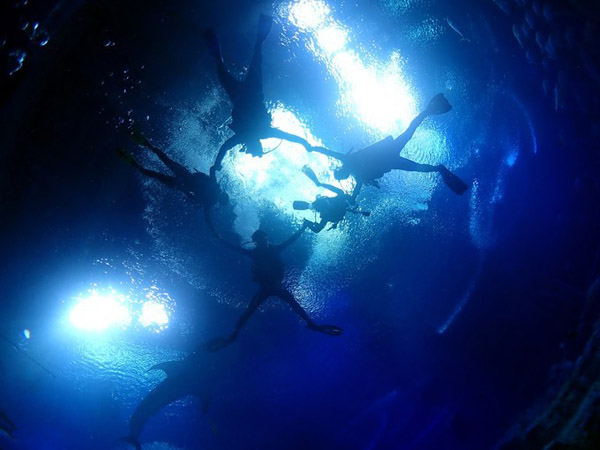 潛在水里，學(xué)做一條靜靜的魚(yú)