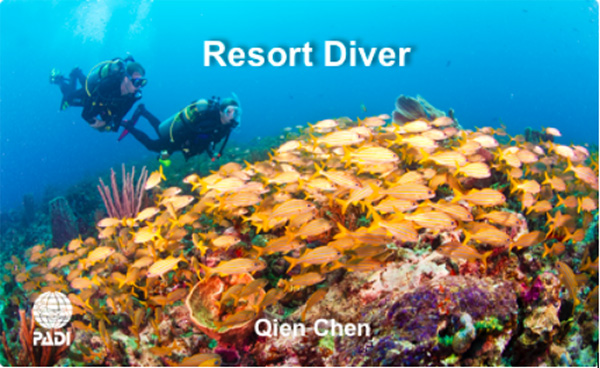12/12正式上線！PADI 最新課程【休閑潛水員Resort Diver】 丨 一天拿證，潛遍全球