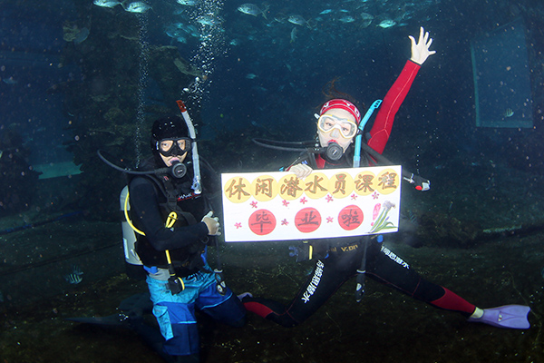 12/12正式上線！PADI 最新課程【休閑潛水員Resort Diver】 丨 一天拿證，潛遍全球