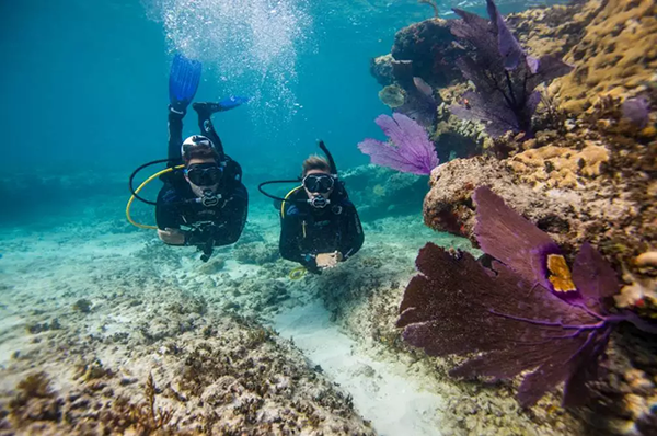 【水肺潛水安全嗎？】轉(zhuǎn)自PADI