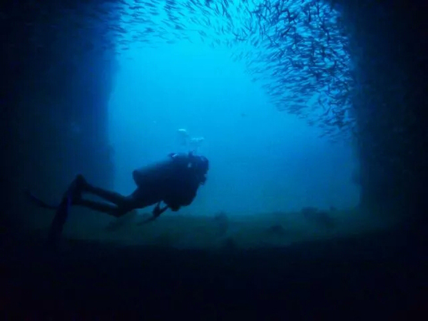 潛水拍照新姿勢，放下你的剪刀手，我們來這樣拍