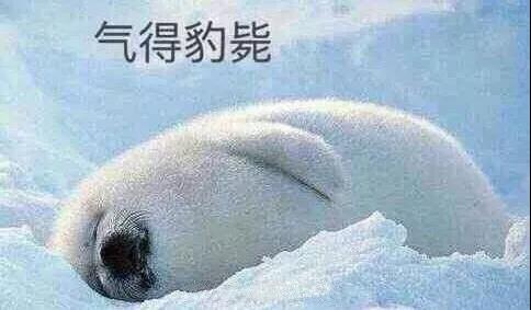 原來(lái)你是這樣的潛水員妹子！