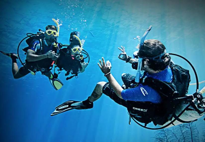 原來(lái)你是這樣的潛水員妹子！