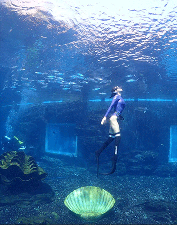 潛水常見問題，原來潛水沒你想的那么難