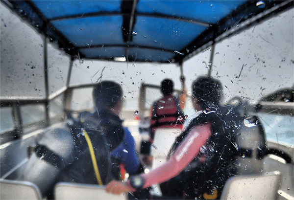 潛水常見問題，原來潛水沒你想的那么難