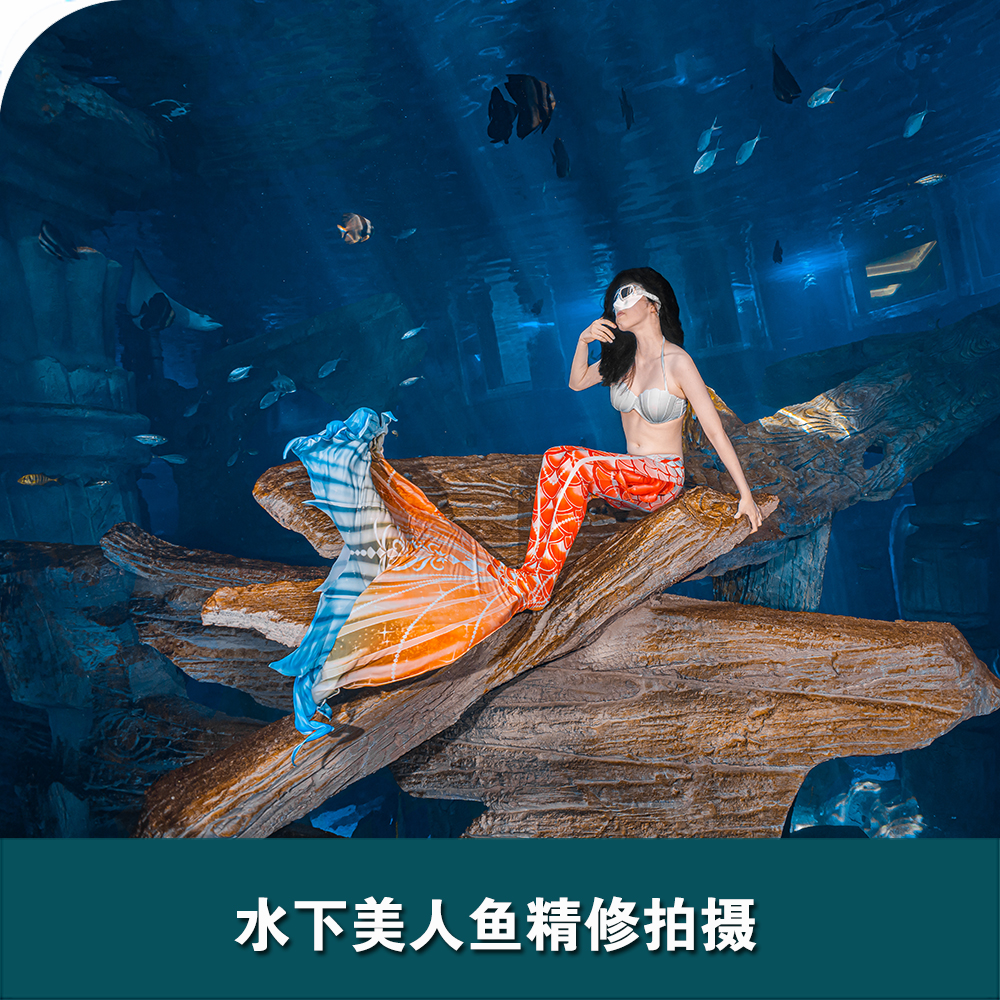 舟山長(zhǎng)喬海洋公園水下美人魚(yú)拍攝
