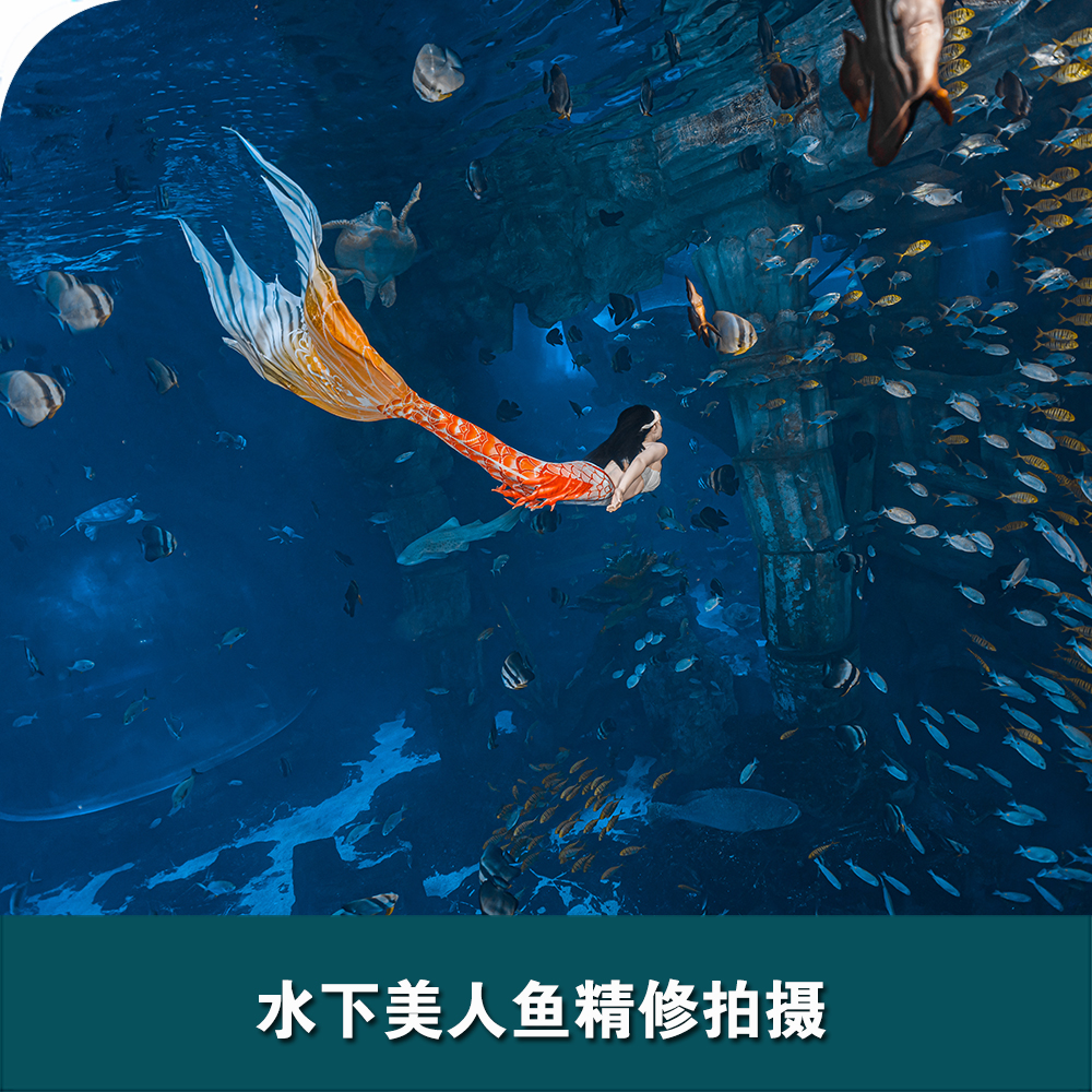 舟山長(zhǎng)喬海洋公園水下美人魚(yú)拍攝