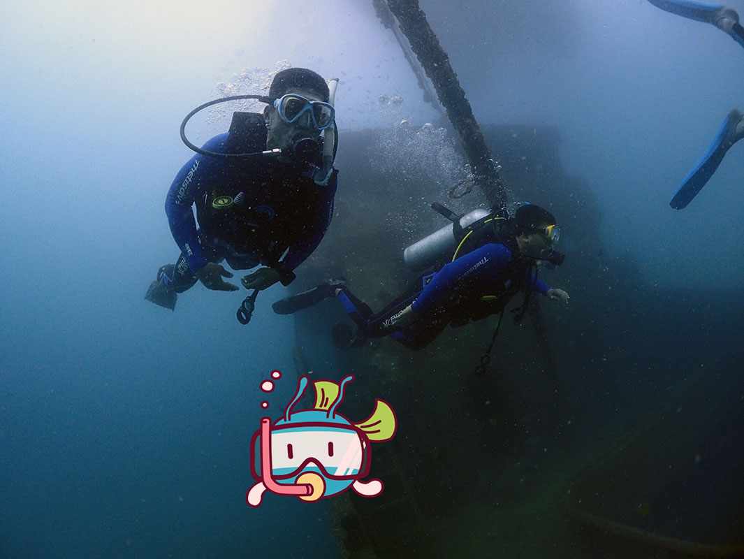 除了俯瞰大地的飛翔，還有潛入海底的翱翔。