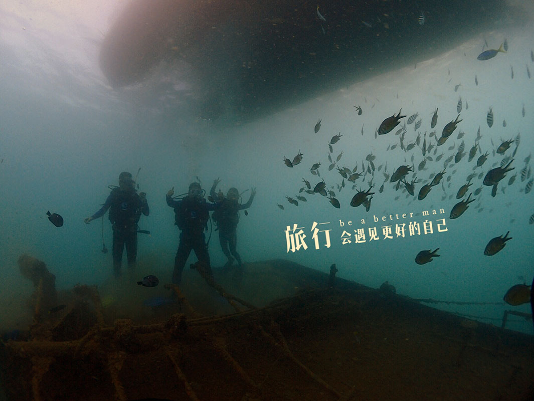 除了俯瞰大地的飛翔，還有潛入海底的翱翔。